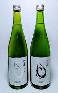 清酒「井乃頭」純米吟醸・純米 2本セット| |伊那市 ふるさと納税 お酒 地酒 清酒 純米吟醸 純米 信州 飲料 アルコール【017-06】