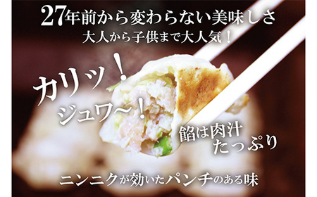 冷凍担々麺2食＋自家製餃子（25コ入）セット 惣菜 冷凍総菜 麺類 おかず 夕飯 晩御飯 昼食 お昼ごはん ランチ 夜食 手作り餃子 点心 中華 惣菜セット  FAD-1170