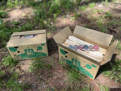 薪 焚き付け用 焚付 信州産 焚き付け用 薪 カラフルでコロコロした 着火剤 付き（6個入）選べる 約12kg （約3kg×4箱) 長野県 伊那市 キャンプ BBQ アウトドア【012-26】
