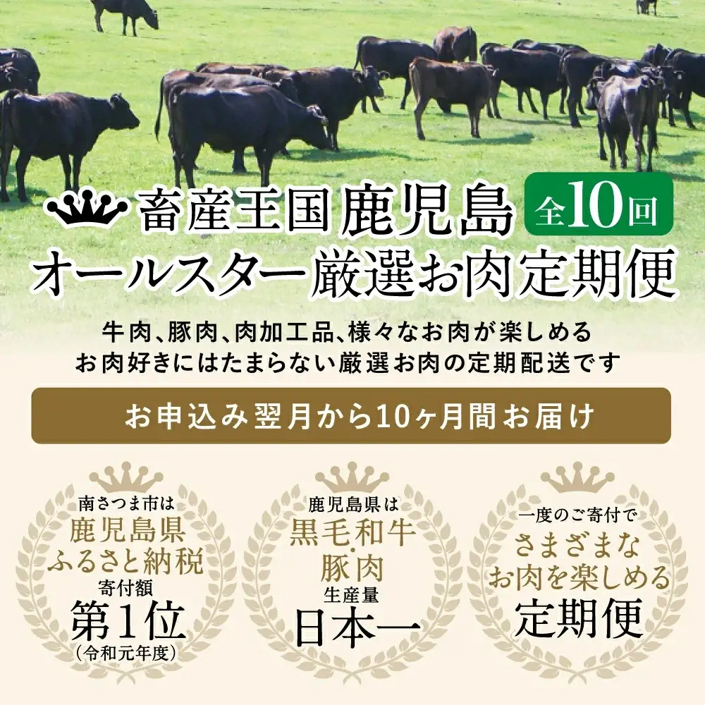 【定期便】畜産王国・南さつま市のオールスター厳選お肉 定期便（10回） 牛肉 豚肉 すき焼き しゃぶしゃぶ 赤身 焼肉 味噌漬け 冷凍 定期便 鹿児島 南さつま市