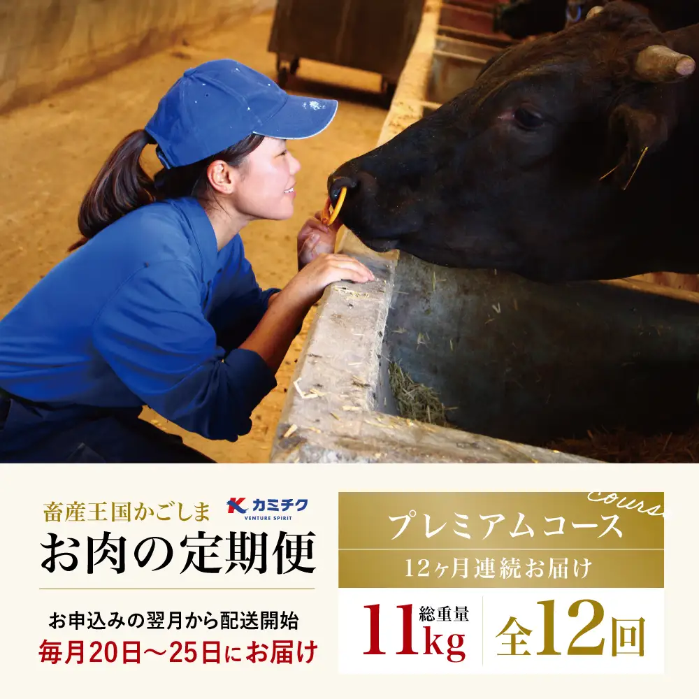 【定期便 全12回】情熱牧場 鹿児島県産お肉の定期便 プレミアムコース お肉 ステーキ すき焼き しゃぶしゃぶ A5等級 ブランド 黒毛和牛 牛肉 豚肉 焼肉 定期便 冷凍
