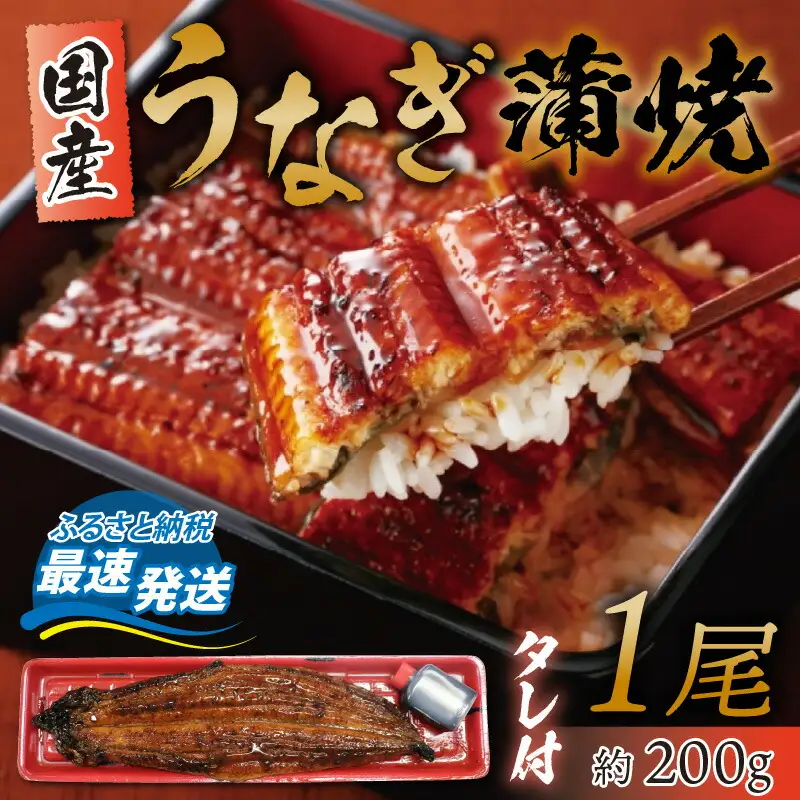 冷蔵 国産 うなぎ 蒲焼 1尾 約200g タレ付 / 鰻 うなぎ ウナギ /  小浜市 / 真魚源【配送不可地域：北海道・沖縄・離島】 [BFCJ001] 