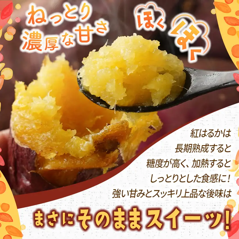【5回お届け!】都城産 長期熟成紅はるか 5kg 定期便〔TAA5-I201〕_(都城市) 都城産 さつまいも 熟成紅はるか 秀品 5kg サイズ未選別 S～L