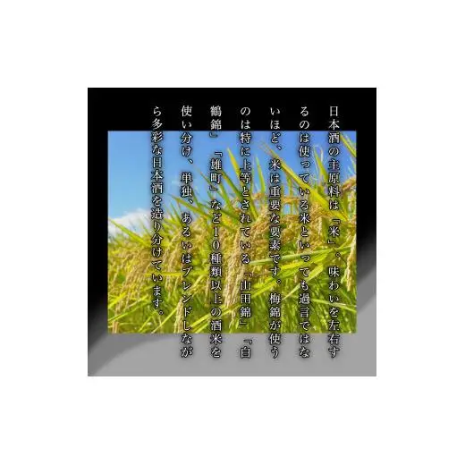 梅錦　純米吟醸原酒　酒一筋　1.8ｌ