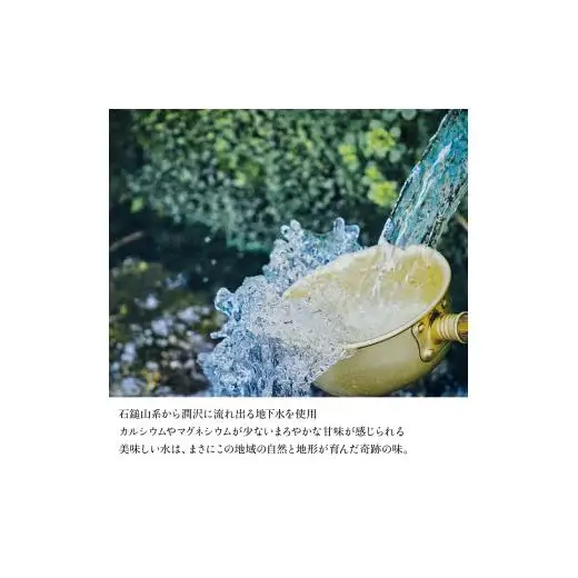 梅錦 ビール6本詰め合わせ（定番ビール5種と季節の限定ビール1種）