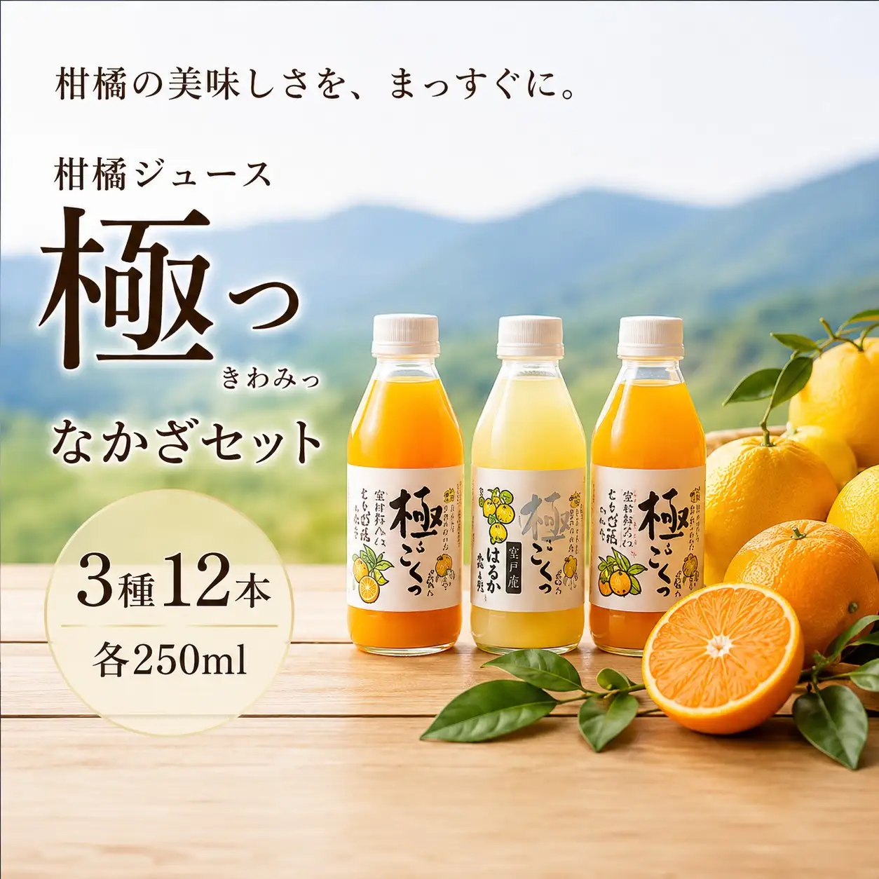 柑橘ジュース「極っ」なかざセット