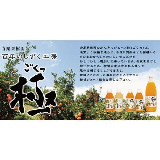 柑橘ジュース「極っ」またざセット