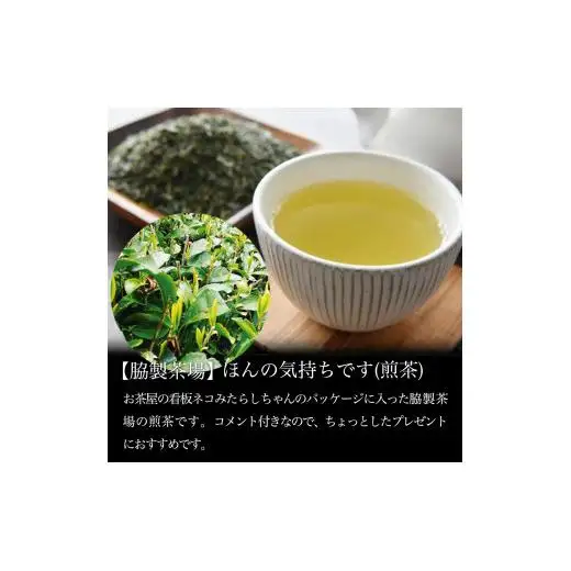 しこちゅ～お茶づくし