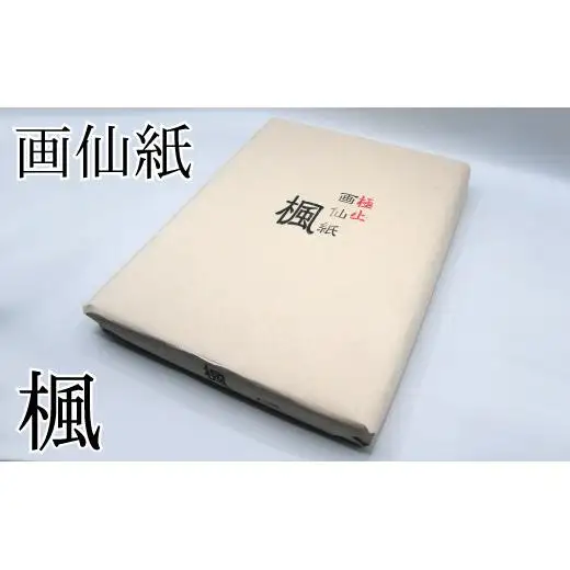 画仙紙練習用！