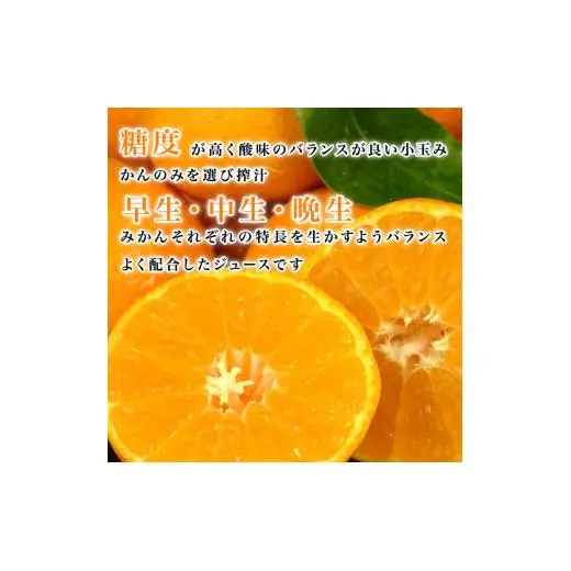 温州みかんジュース（ストレート）720ml×3本