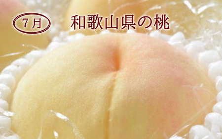 定期便【全3回/7・8・9月】【数量限定】和歌山産フルーツ定期便！人気の桃とぶどう三昧　桃 ピオーネ シャインマスカット【tkb152】