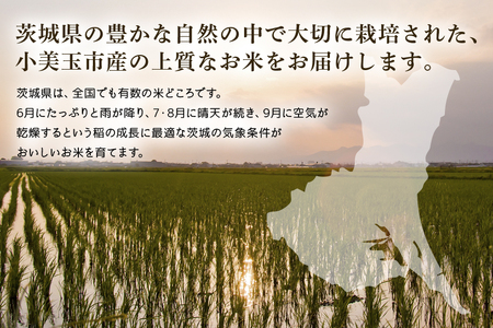 無洗米 食べ比べ コシヒカリ＆あきたこまち 各5kg こしひかり 米 白米 茨城県産 お弁当 おにぎり エコ 47-P