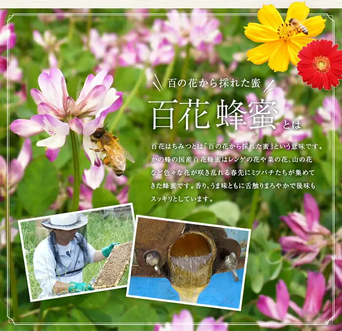 【全3回】 定期便 かの蜂 国産 百花蜂蜜 合計3kg（とんがり容器1kgを毎月1本お届け） 純粋はちみつ 024-T002