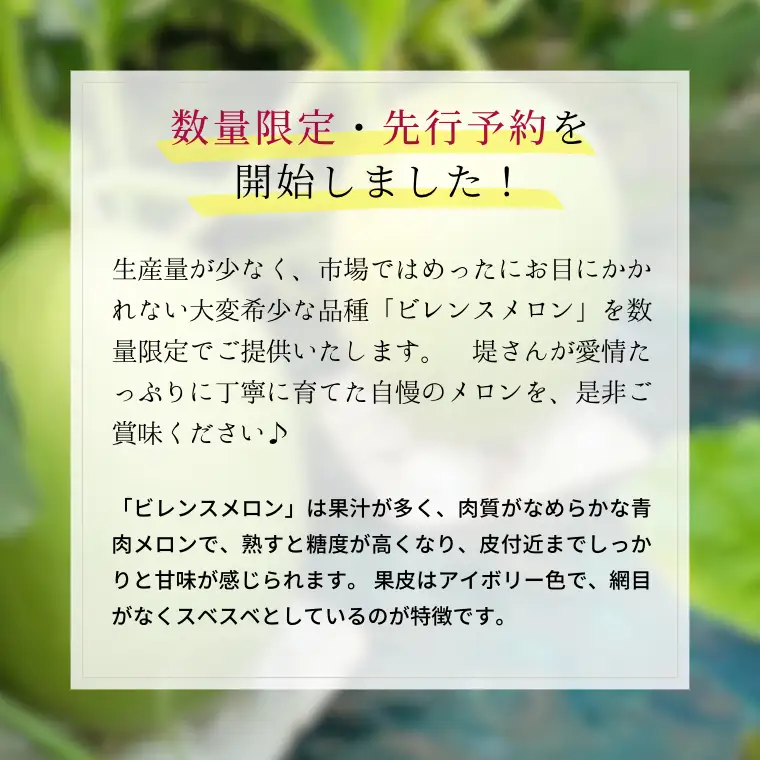 【先行予約】ビレンスメロン 約2kg（2玉） [AV007ya] 5月下旬発送 メロン 青肉メロン 果物 フルーツ 夏 ギフト