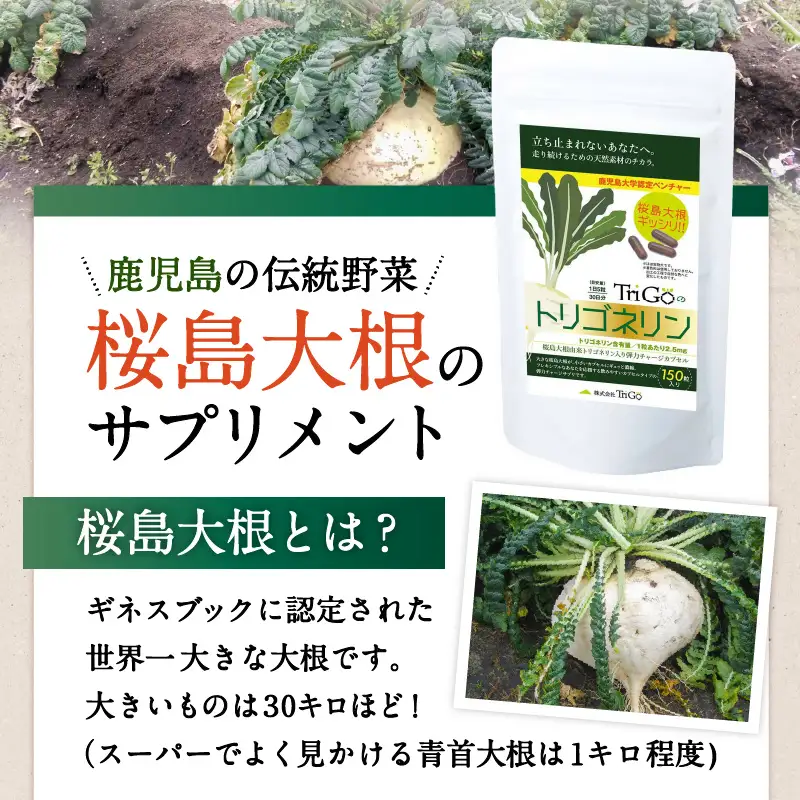 健康食品：桜島大根カプセル「Trigoのトリゴネリン」 K196-001