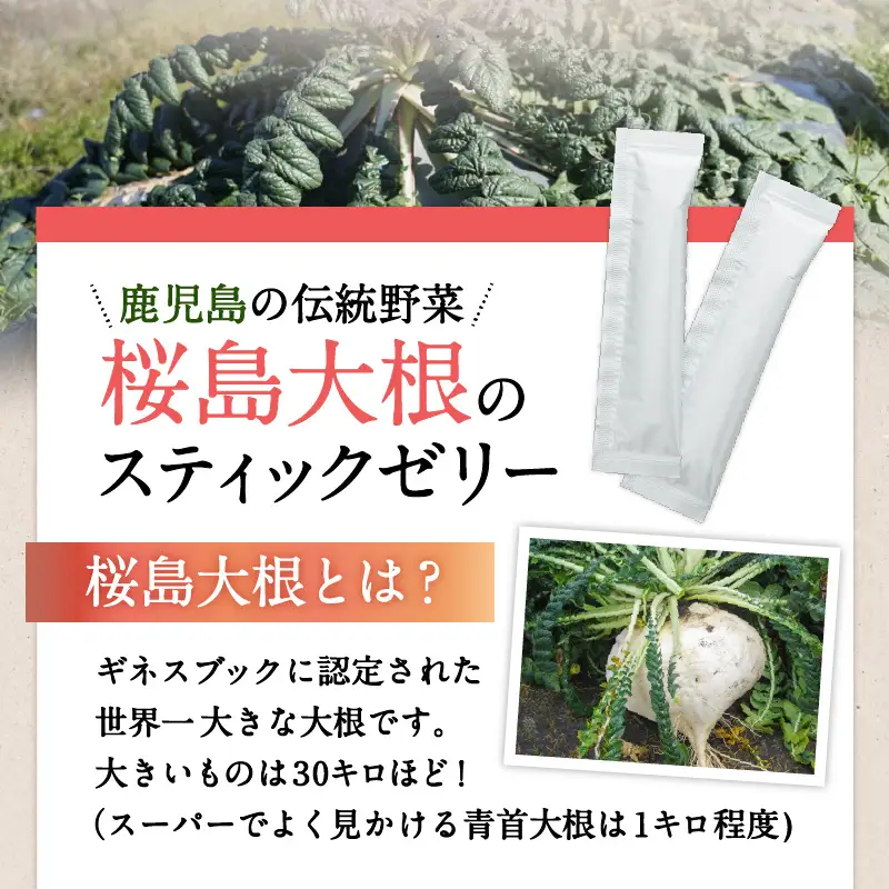 健康食品：桜島大根スティックゼリー「トリゴネリン入ってます」 K196-002