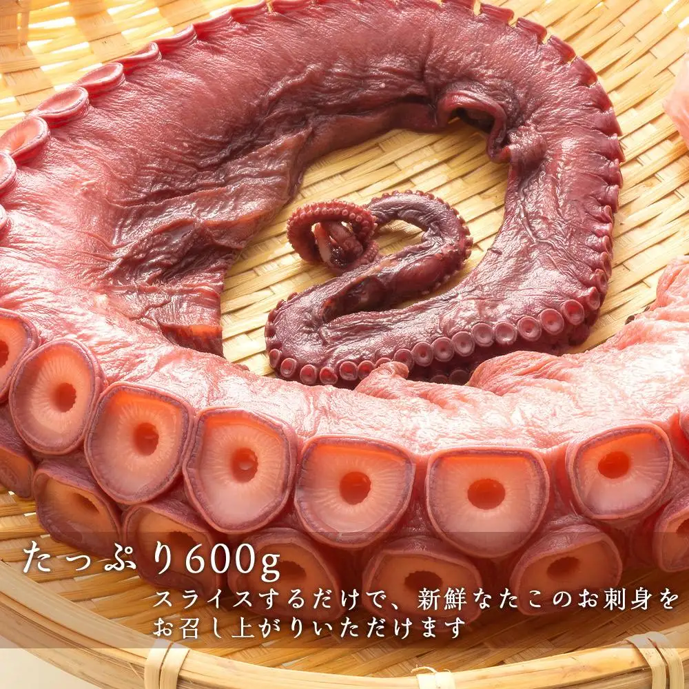 北海道産 やわらか煮たこ足（約600g）2本セット＜菊地水産＞_Y020-0429