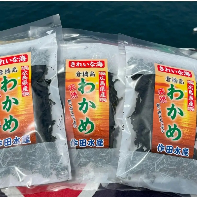 わかめ 磯の香りセット ワカメ ひじき 計6袋 乾燥 広島県 呉市
