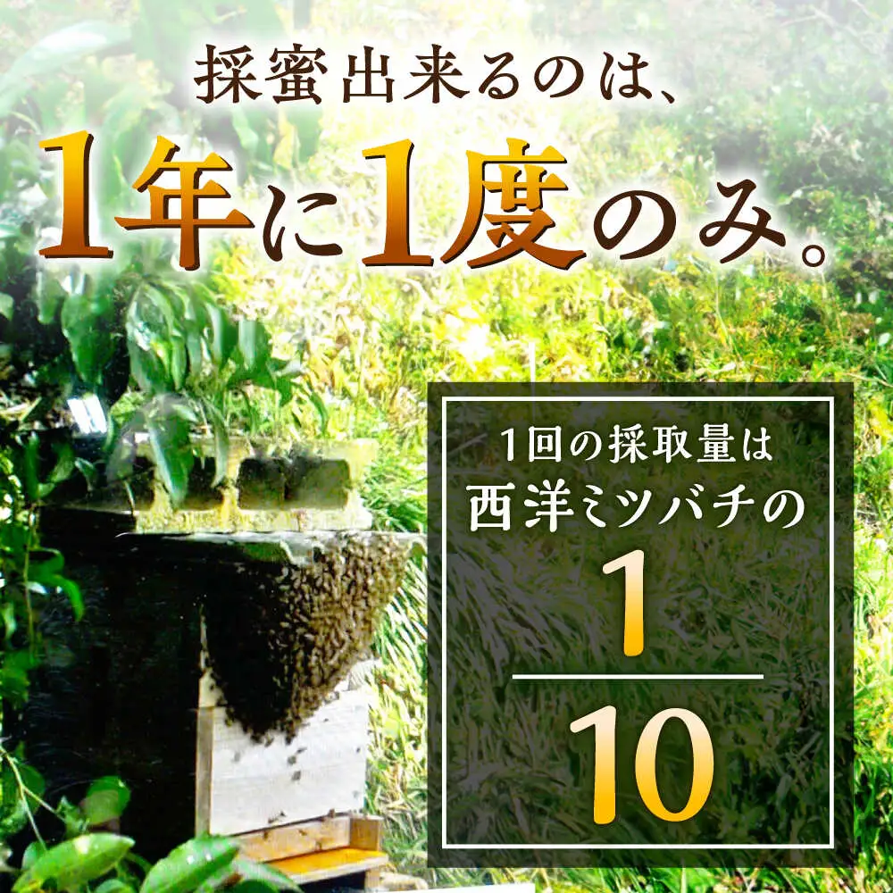 百花はちみつ 300g /永尾 忠則 [UAS009] ハチミツ