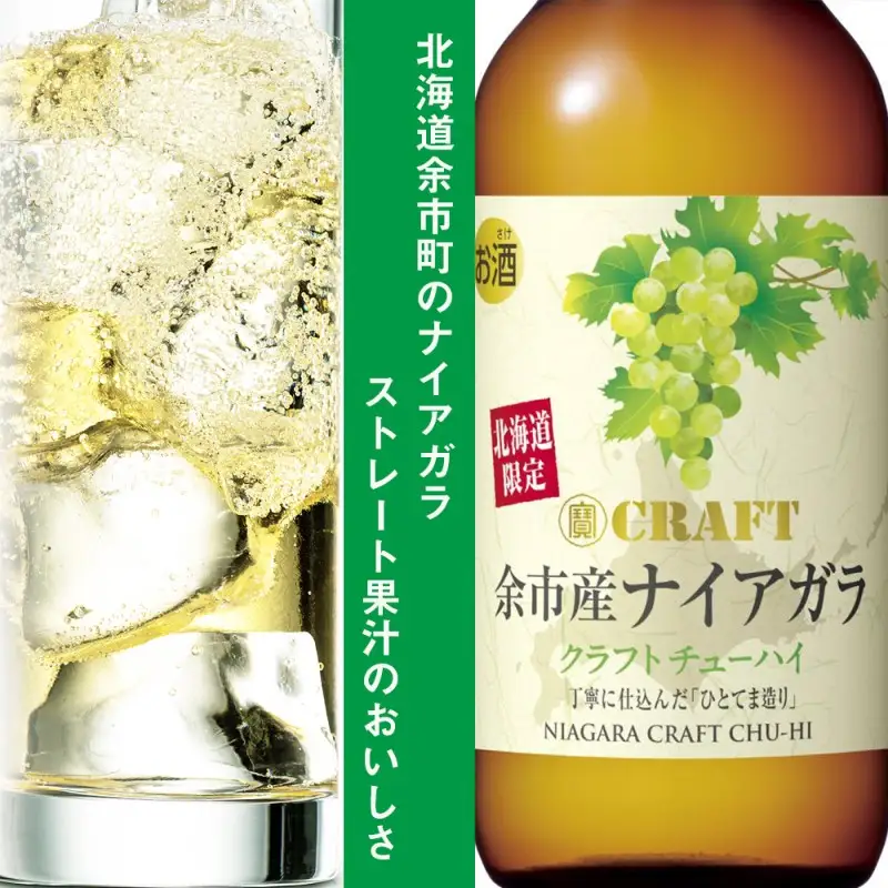 寶CRAFT 余市産 ナイアガラ 12本 北海道限定クラフト 宝酒造 地域限定 お酒 焼酎 酎ハイ チューハイ クラフトチューハイ 果汁 ストレート ぶどう 葡萄 父の日 誕生日 お祝い ギフト プレゼント 北海道 余市町 _Y020-0521
