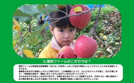米 はぜかけ こしひかり 5kg ( 令和7年産 ) 増田ファーム 沖縄県への配送不可 2025年11月上旬頃から順次発送予定 コシヒカリ 白米 精米 お米 信州 予約 農家直送 長野県 飯綱町 [0814]