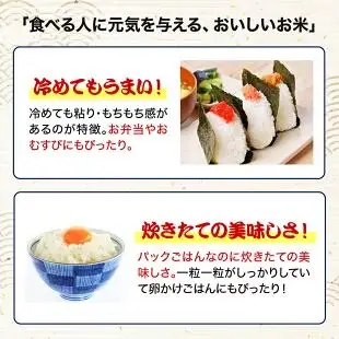 【一週間以内に発送】福岡県産米　「元気つくし」パックご飯　200ｇ×24パック【JＡほたるの里】_HA1312