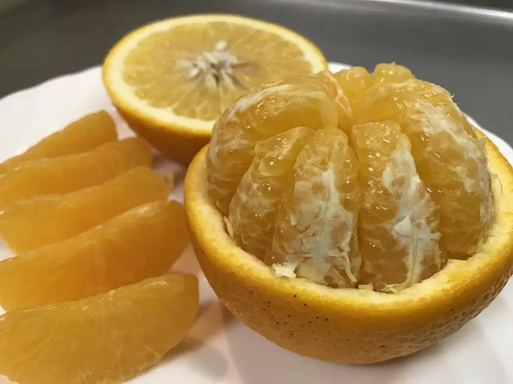 化粧箱 手詰め 有田 はっさく 特秀 大玉 2L サイズ × 7玉入 南泰園 みかん