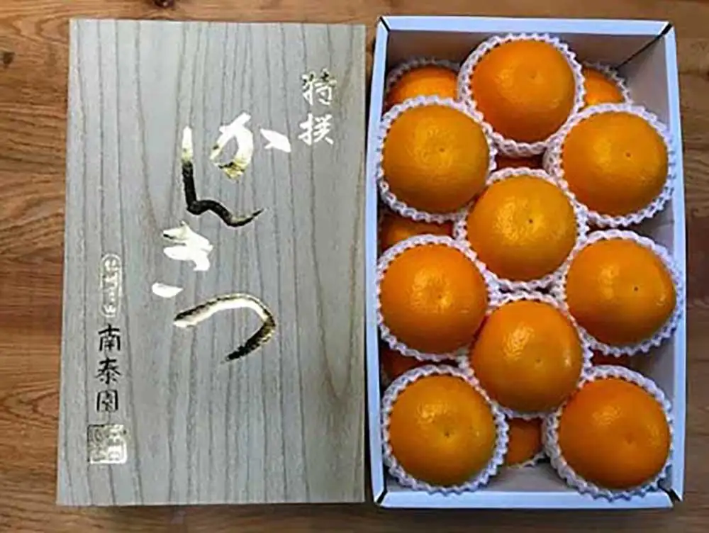 化粧箱 手詰め 有田 はっさく 特秀 M サイズ × 18玉入 2段詰 南泰園 みかん