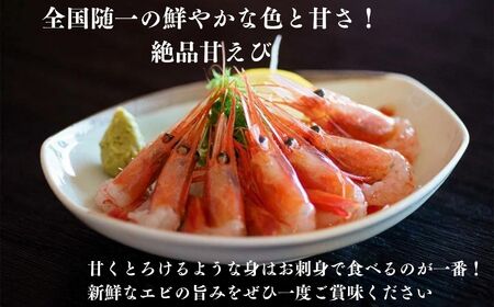 ［9月以降順次発送予定］南蛮エビ 日本海直送 鮮度抜群！糸魚川産『甘エビ』250g×4パック 際立つ甘さと鮮やかさ  甘くとろける格別の味 【プロも太鼓判！】伝兵水産【えび エビ 甘えび 南蛮エビ 】 