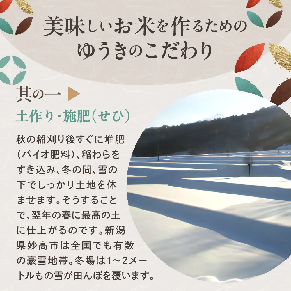 【2026年11月中旬より発送】【定期便】令和8年産新潟県妙高産斐太の里コシヒカリ「旬」5kg×6回（計30kg）