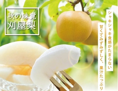 SA2935　和梨 「刈屋梨」　約5kg(12～16玉入)　品種おまかせ(幸水、豊水、南水、あきづき)