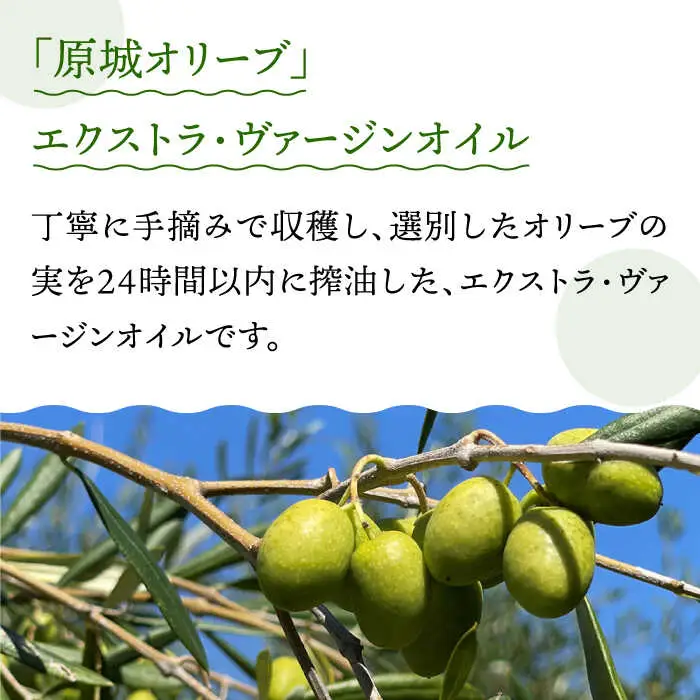 【3回定期便】 原城 オリーブ エクストラ・ヴァージンオイル  100ml 1本 / オリーブオイル オイル 油 調味料 / 南島原市 / ミナサポ [SCW054]