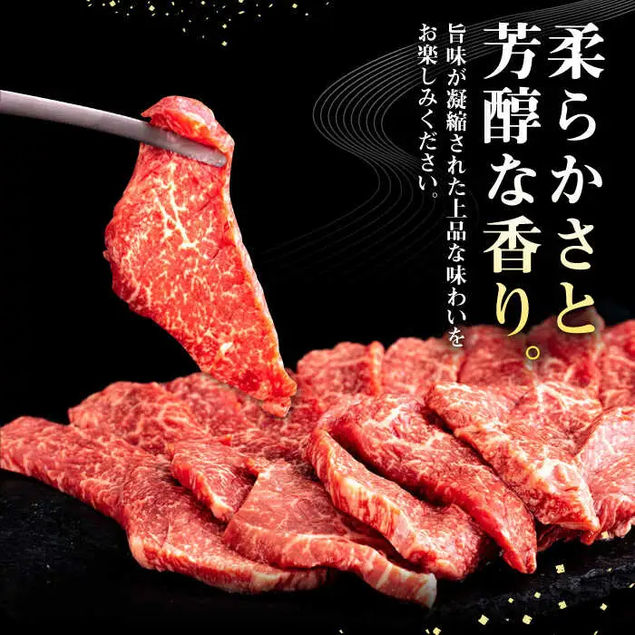 【全12回定期便】 壱岐牛 焼肉用 モモ 500g《壱岐市》【株式会社イチヤマ】 肉 牛肉 焼肉 もも BBQ [JFE081] 288000 288000円