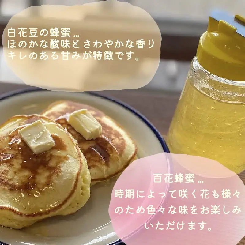 《14営業日以内に発送》【国産蜂蜜】白花豆はちみつ 450g パッカー容器 ( はちみつ 蜂蜜 ハチミツ ハニー 白花豆 ふるさと納税 )【022-0024】