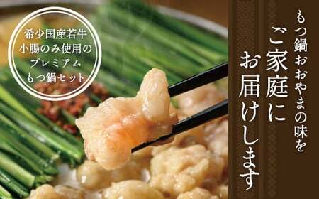 【6ヶ月定期便】博多もつ鍋 おおやま もつ鍋 しょうゆ味 2人前 醤油 もつ 鍋
