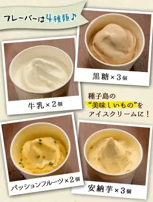 n014 アイスクリーム 詰め合わせA 計10個 黒糖 安納芋 牛乳 パッションフルーツ 【ホテルレストラン公園通り】