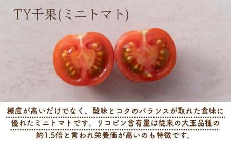 【2027年1月以降配送】熊野薬草園のミニトマト（1.2kg） 【kmys0001A】