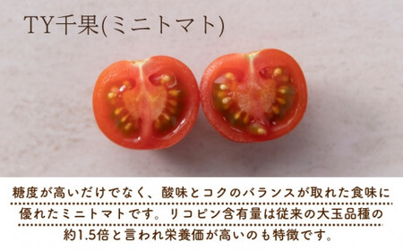 【2027年1月以降配送】熊野薬草園のミニトマト（1.2kg×2箱） 【kmys0002A】