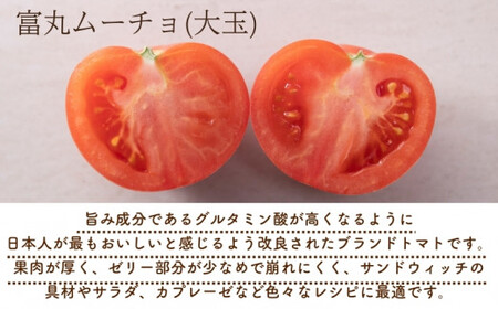 【2027年1月以降配送】熊野薬草園の大玉トマト（1.2kg） 【kmys0005A】