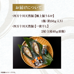 四万十川天然鮎を贅沢に満喫！極上うるか（１瓶）と一夜干し（２尾）セット Esg-A21 あゆ アユ 鮎のひらき あゆのひらき 魚 魚介 川魚 塩焼き 干物 ひもの 海鮮 塩辛 にがうるか うるか おつまみ 珍味 発酵食品 鮎 鮎 鮎 鮎 鮎