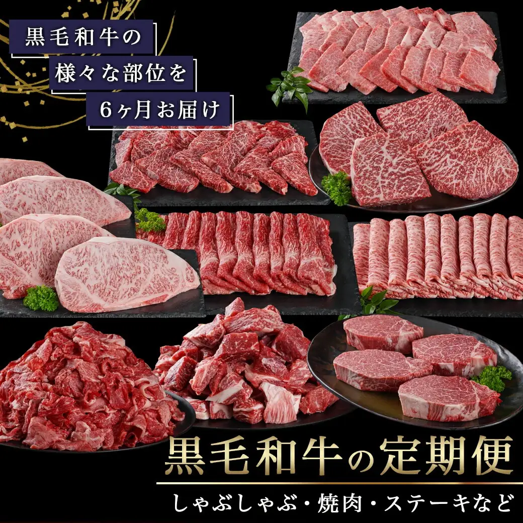 黒毛和牛を知り尽くす!食べ尽くし6ヶ月定期便〔TAI6-4201〕_(都城市) 国産 黒毛和牛 和牛 サーロインステーキ モモスライス 小間切り落とし 角切り煮込み用 霜降りカルビ 赤身カルビ ローススライス ヒレステーキ 定期便