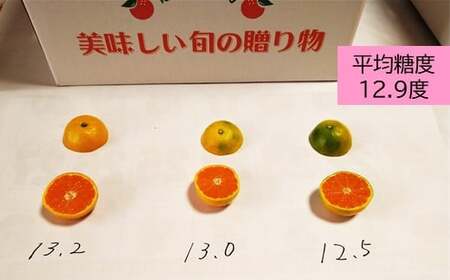 AA-37 毎年大人気！【先行受付】《10月頃からお届け》平倉果樹園のひとくちみかん約5.5kg｜鹿島産 小玉みかん（5cm前後）｜贈答用・お取り寄せ ギフト｜温州みかん「ゆら」｜九州 佐賀県 鹿島市産