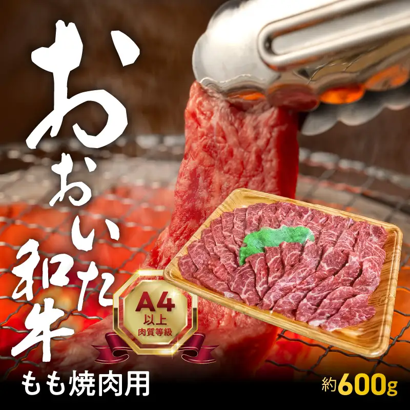 【お中元ギフト】 おおいた和牛もも焼肉用 約600g ≪7/1～8/9の期間に発送≫ A01121-S