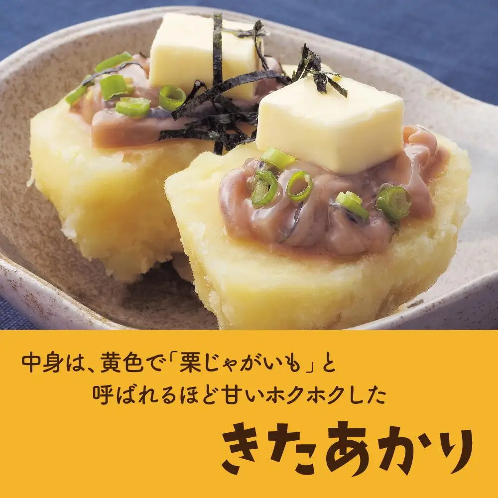 【2026年先行予約】北海道産じゃがいも（北あかり）5kg（10月中旬発送開始）| じゃがいも _00416