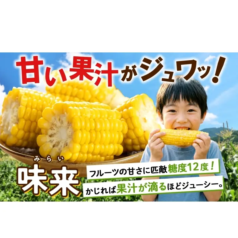 とうもろこし 味来 2Lサイズ 26本 約10kg 北海道産 朝もぎ イエロー コーン みらい