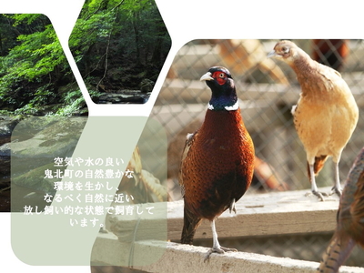 鍋セット キジ肉 ジビエ 冷凍 新鮮「みんなでキジ鍋セット」 ＜キジ肉 雉 キジ ジビエ とり 鶏肉 パーティー ムネ モモ ササミ 秋 冬 熟成  お取り寄せ 加工品 鍋 贈答 愛媛県 鬼北町＞ ※2025年1月中旬より順次発送予定