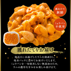 無添加「浜中町養殖塩水うに(計50g)」_H0038-104
