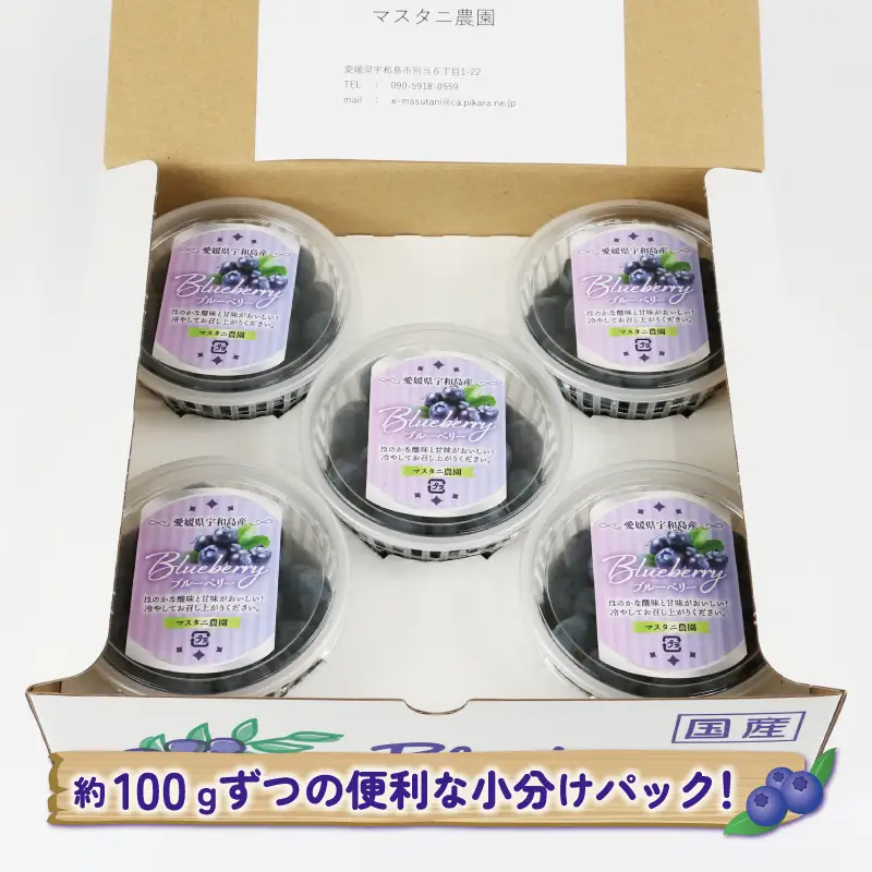 ブルーベリー500g マスタニ農園 ベリー F014-136001