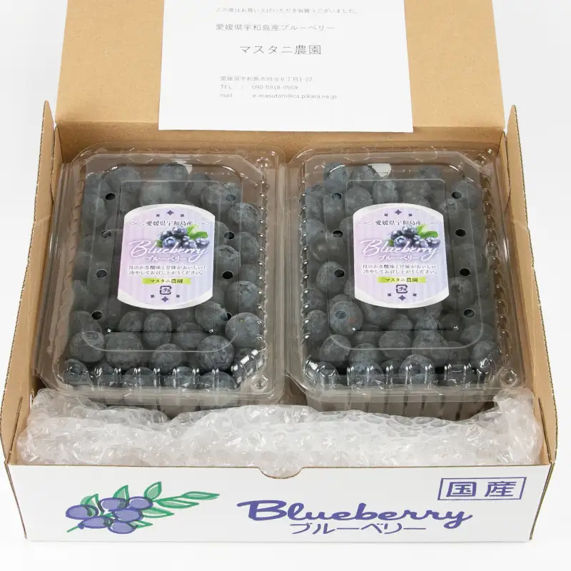 ブルーベリー1kg マスタニ農園 ベリー F020-136002