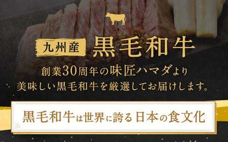 【6ヶ月定期便】 九州産 黒毛和牛 サーロインステーキ 合計約3kg (約250g×2枚×6回) 牛肉 国産 ステーキ サーロイン 牛肉 お肉 国産 日本産